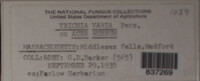 Image Associated With the Occurence